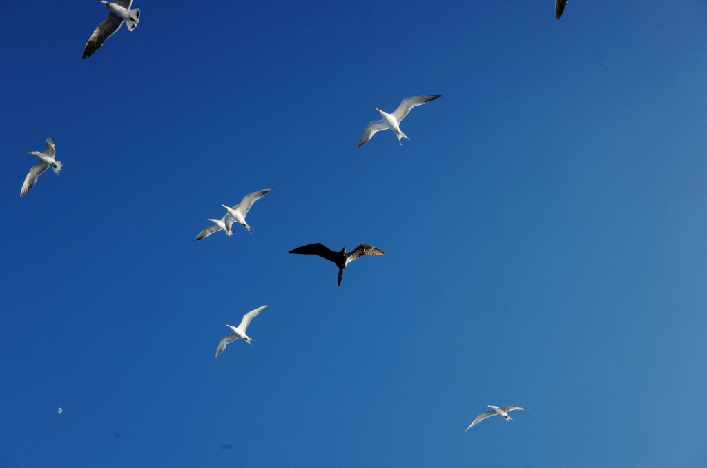 What even is “Breathwork?”