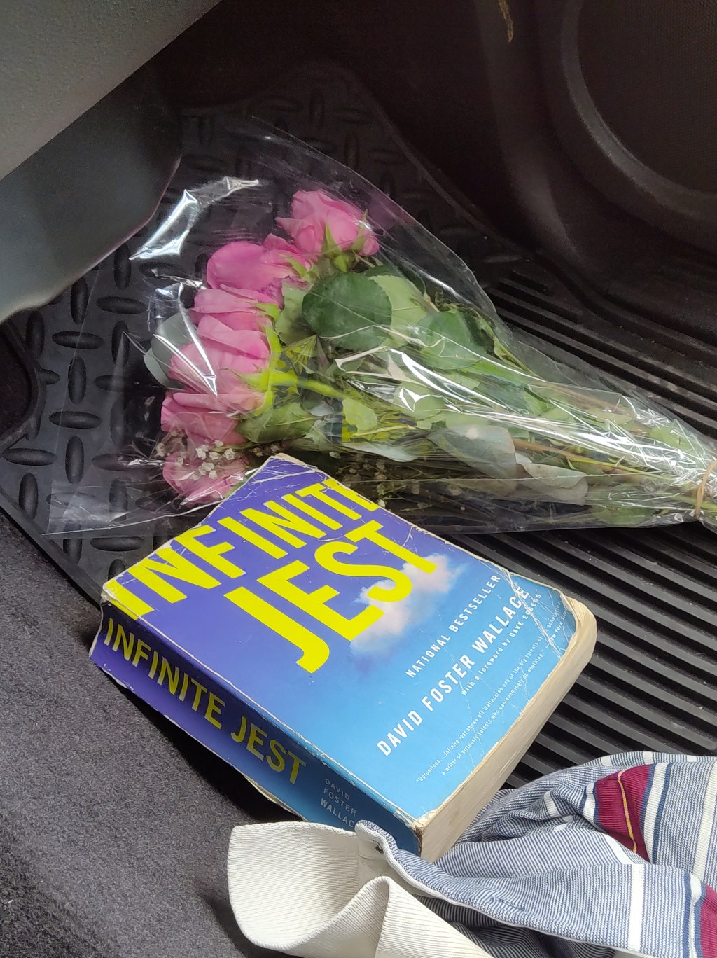 Left to Our Owned Devices:Social media, isolation and Infinite&nbsp;Jest.